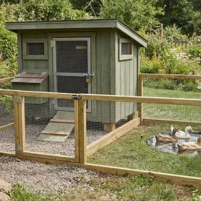 How to Predator-Proof a Duck House
