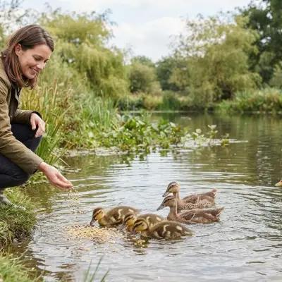 Duck Feeding Chart by Age