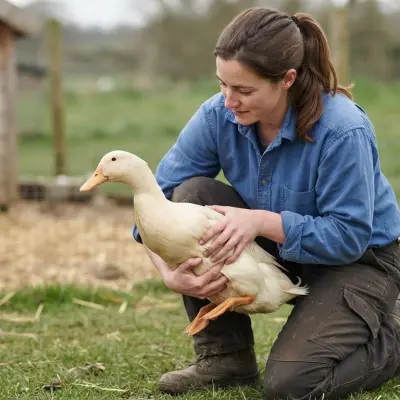 How to Catch and Hold a Duck Safely