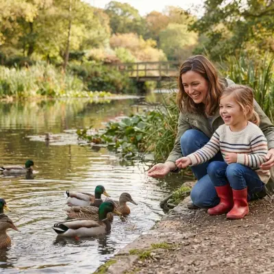 Ducks Are Fun