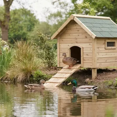 Duck House Guide