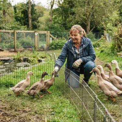 How to Introduce New Ducks