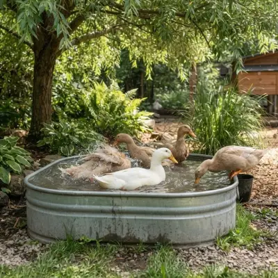 How to Keep Ducks Cool in Summer