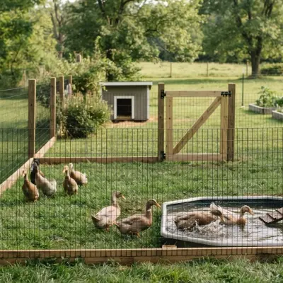 Best Fencing for Ducks